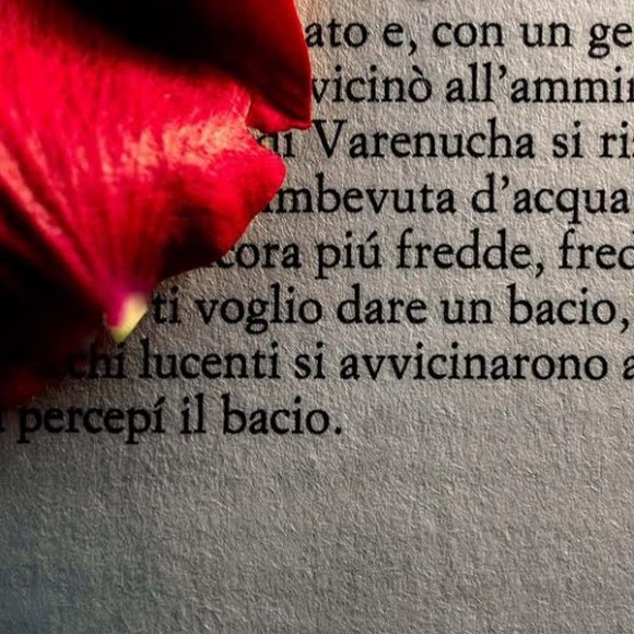 Words #28, Romanzo d'amore, 2012